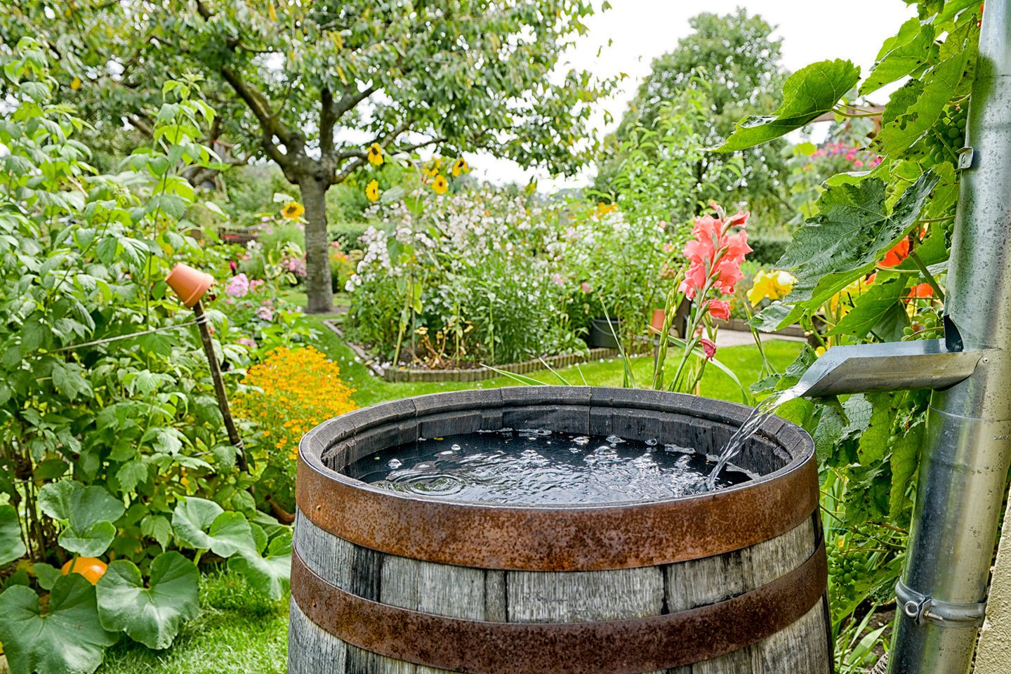 Rain barrels installed neatly against the side of a house